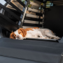 Podložka k prepravnej klietke Thule Dog Mat standard