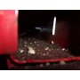 Galia Ťažné zariadenie F0966 typ A pre FORD Focus - kombi , r 2005-2011