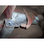 Galia Ťažné zariadenie O0296 typ A pre OPEL Vectra - kombi , r 1995-2003